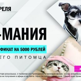 1 апреля в программе ОрелOnline на «Европе плюс Орел» стартовала игра «ВДЖ-мания»